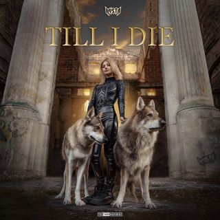 Till I Die Till I Die