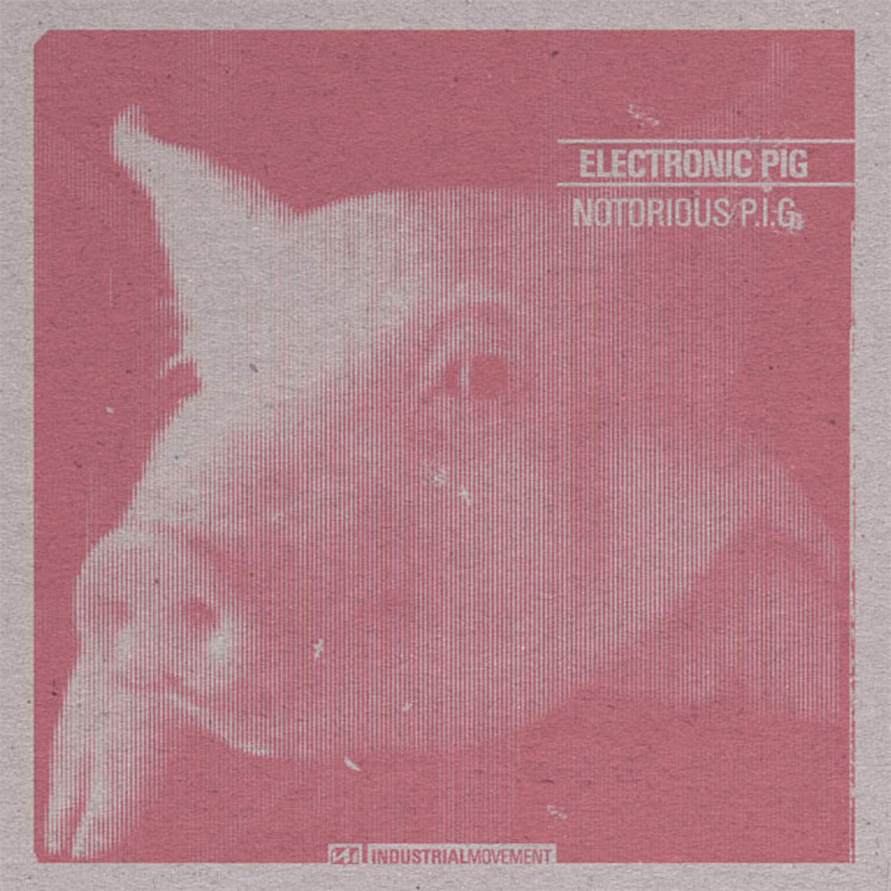 Notorious P.I.G. by Electronic pig The Third Movement